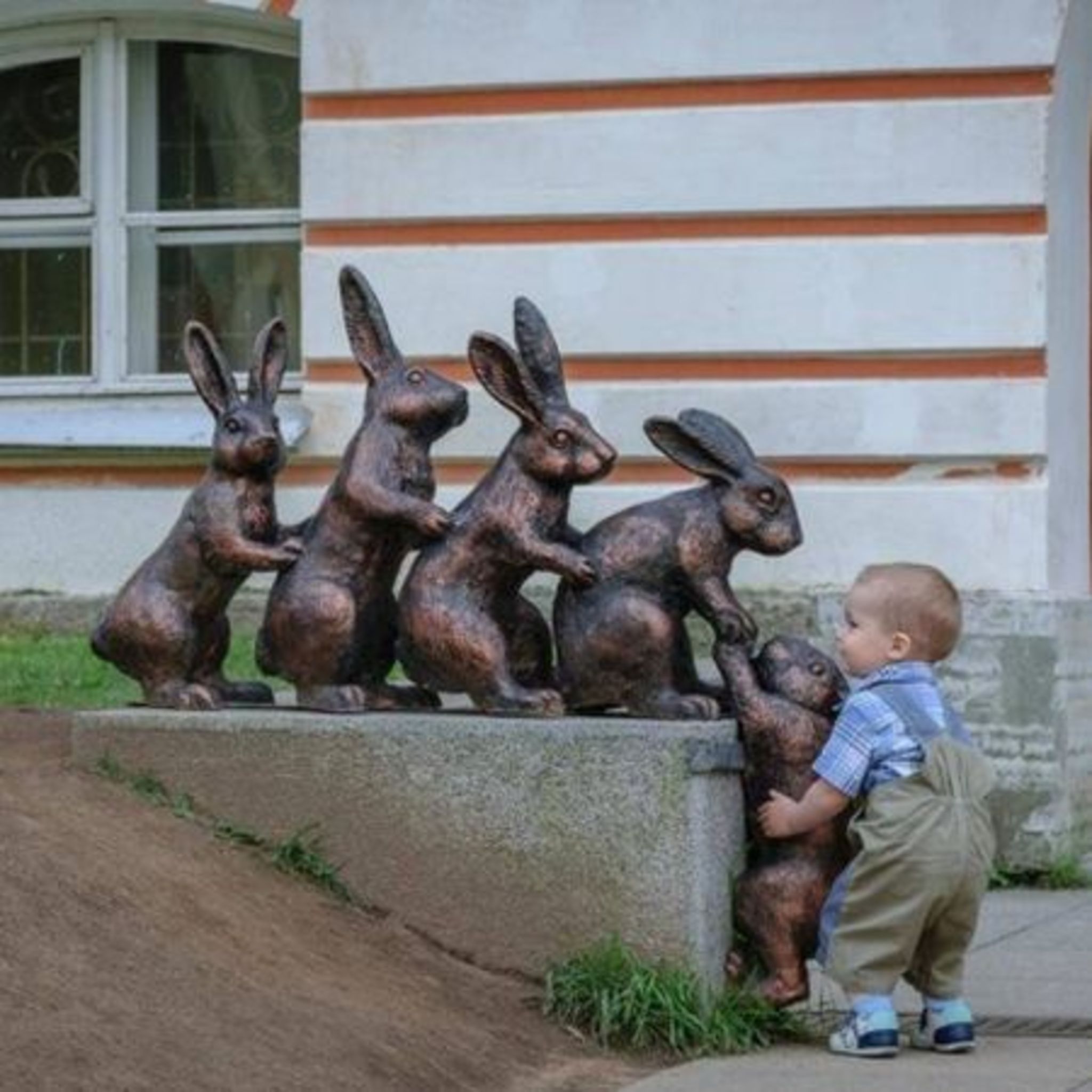 The Museum of the History of St. Petersburg searches for hares