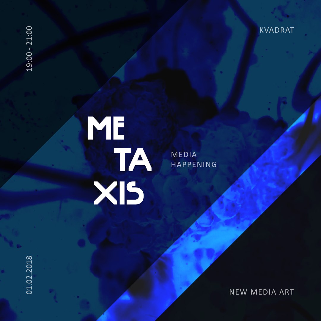 Фестиваль медиаискусства METAXIS